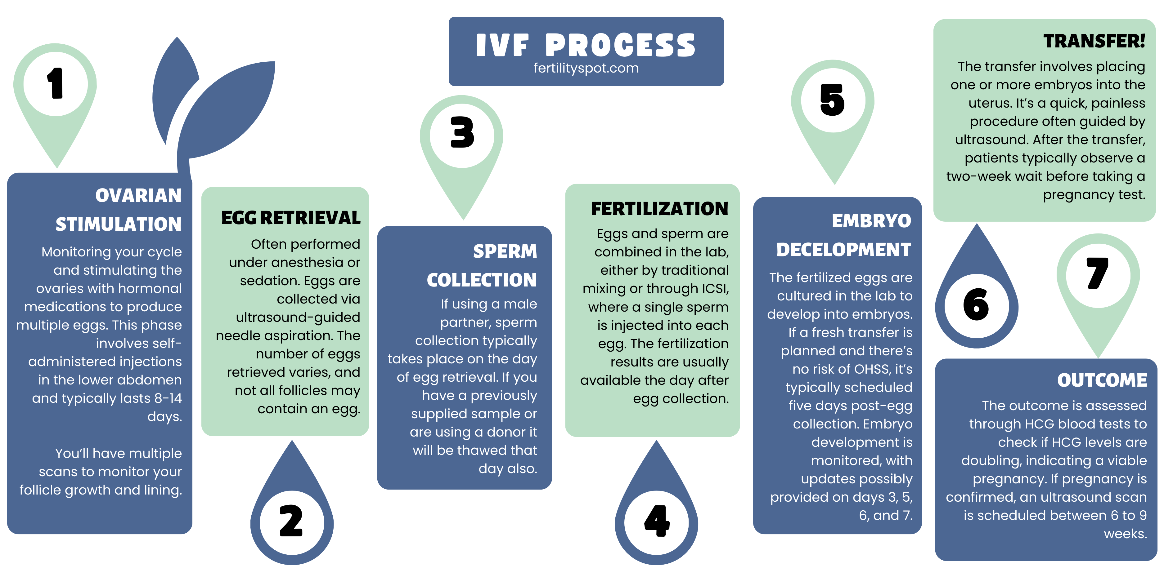 Fertility Spot IVF Process Infographic