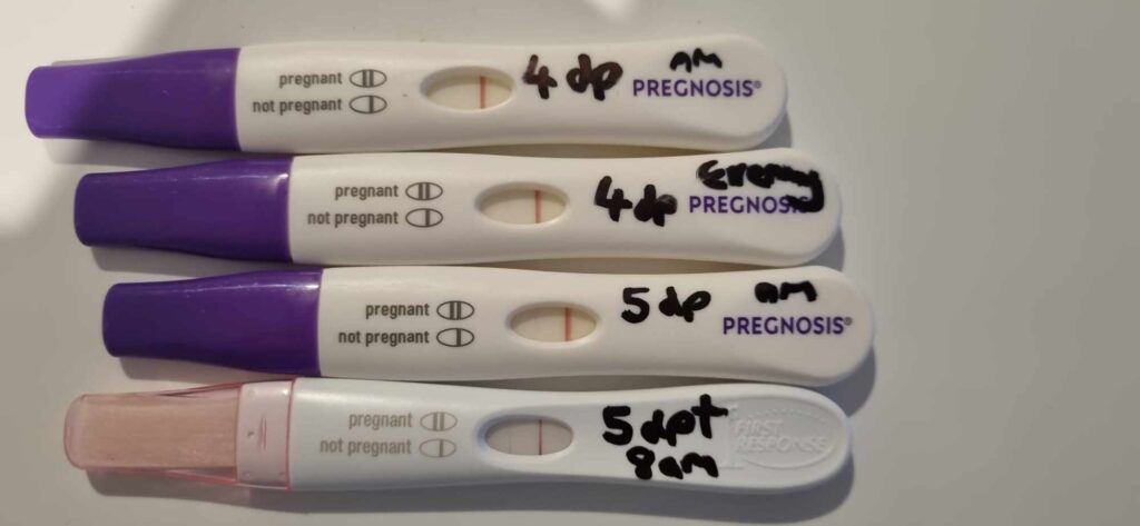 Pregnancy Test Progression Fertility Spot