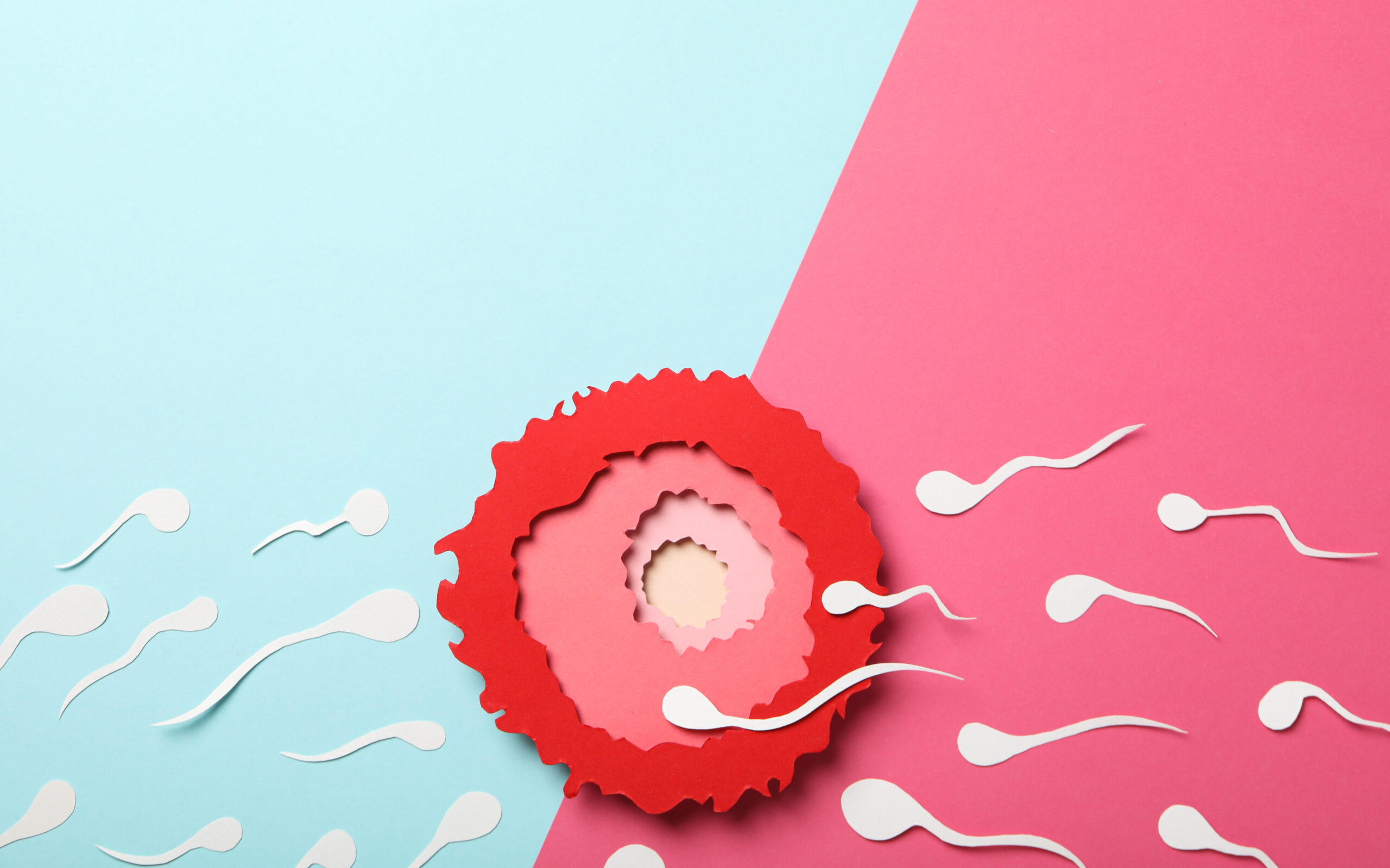 Fertility Spot Fertilization Illustration